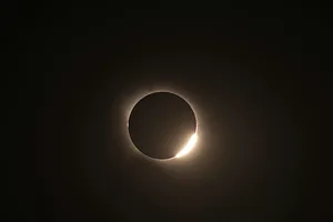 Chasing Totality: Roo's Journey Beneath the Eclipse