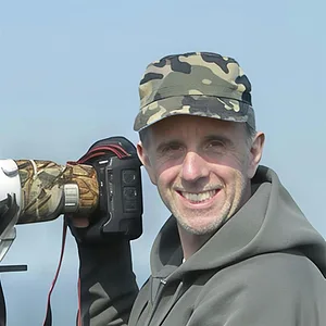  Robin Lowry